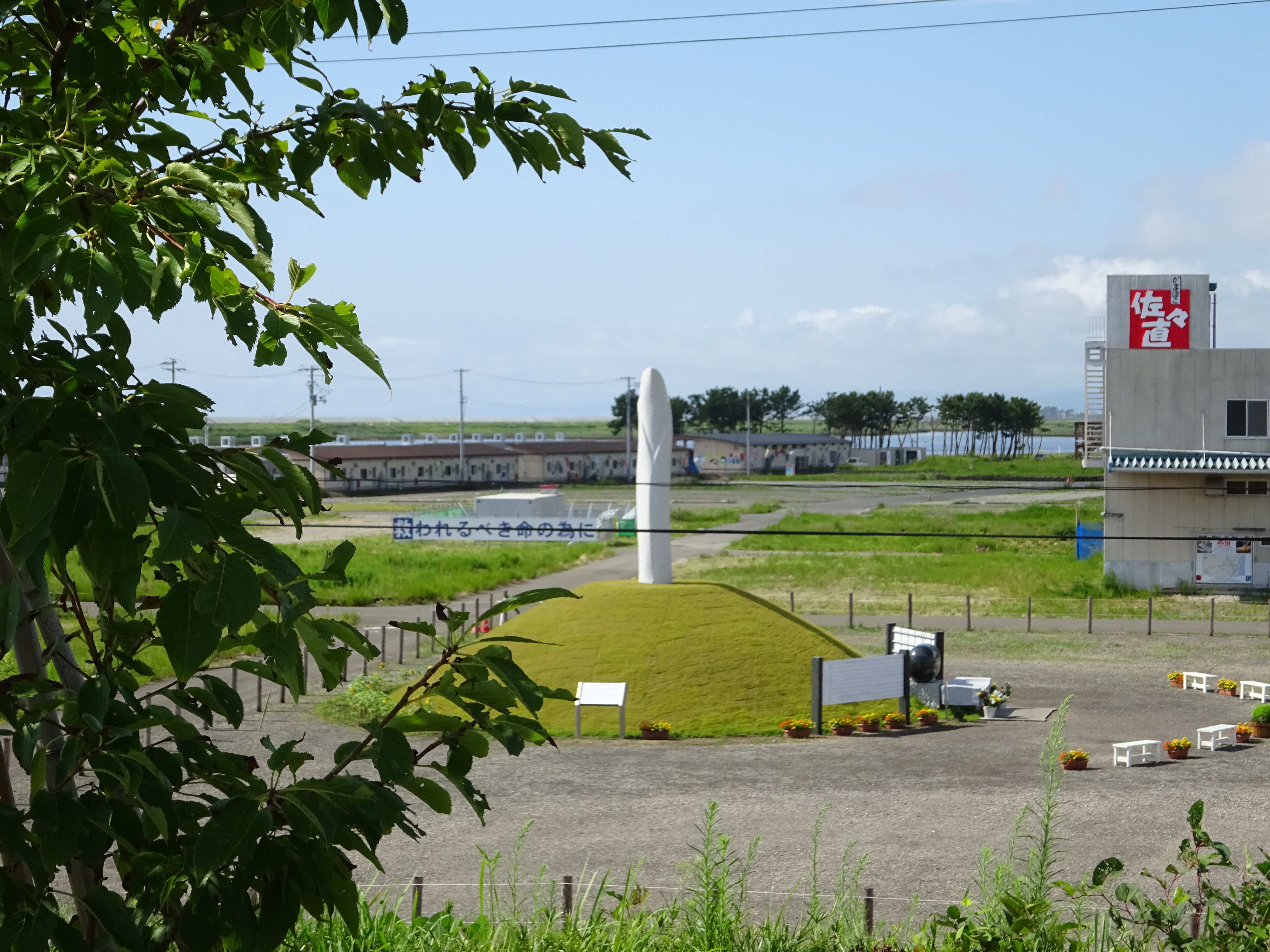 DSC00136.JPG