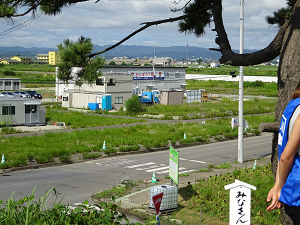 DSC00137_thumb.png