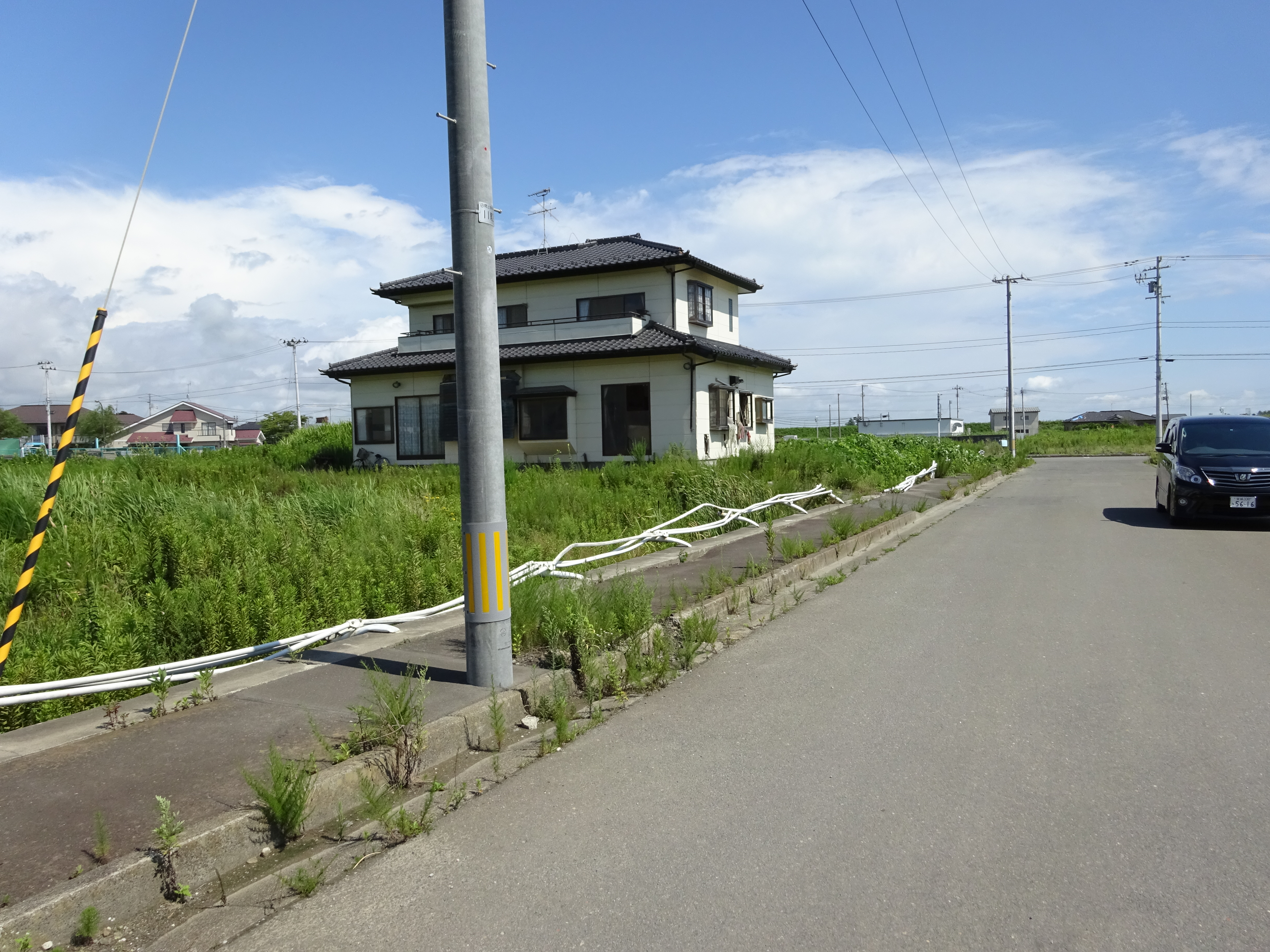 DSC00150.JPG