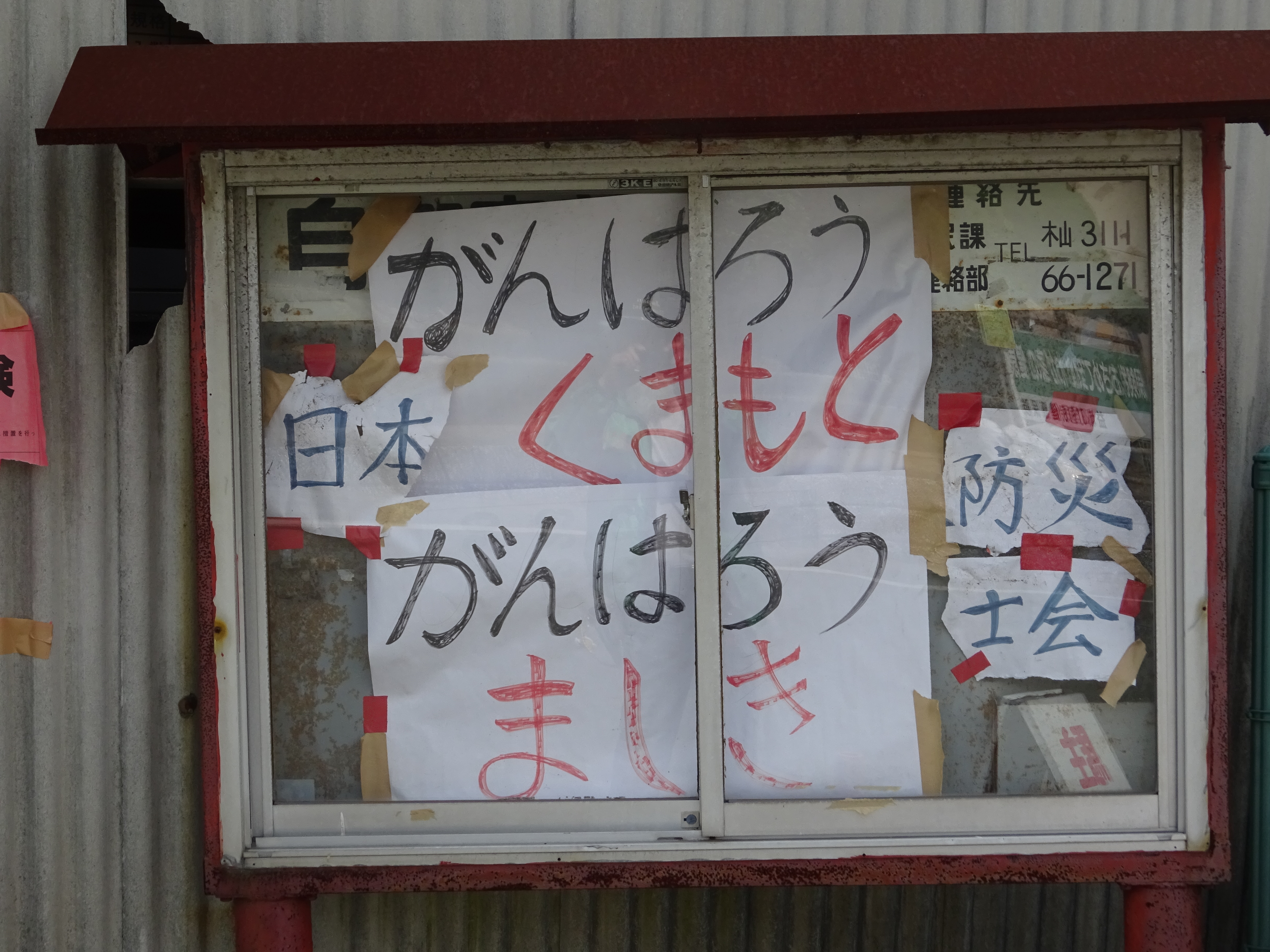 DSC00339.JPG