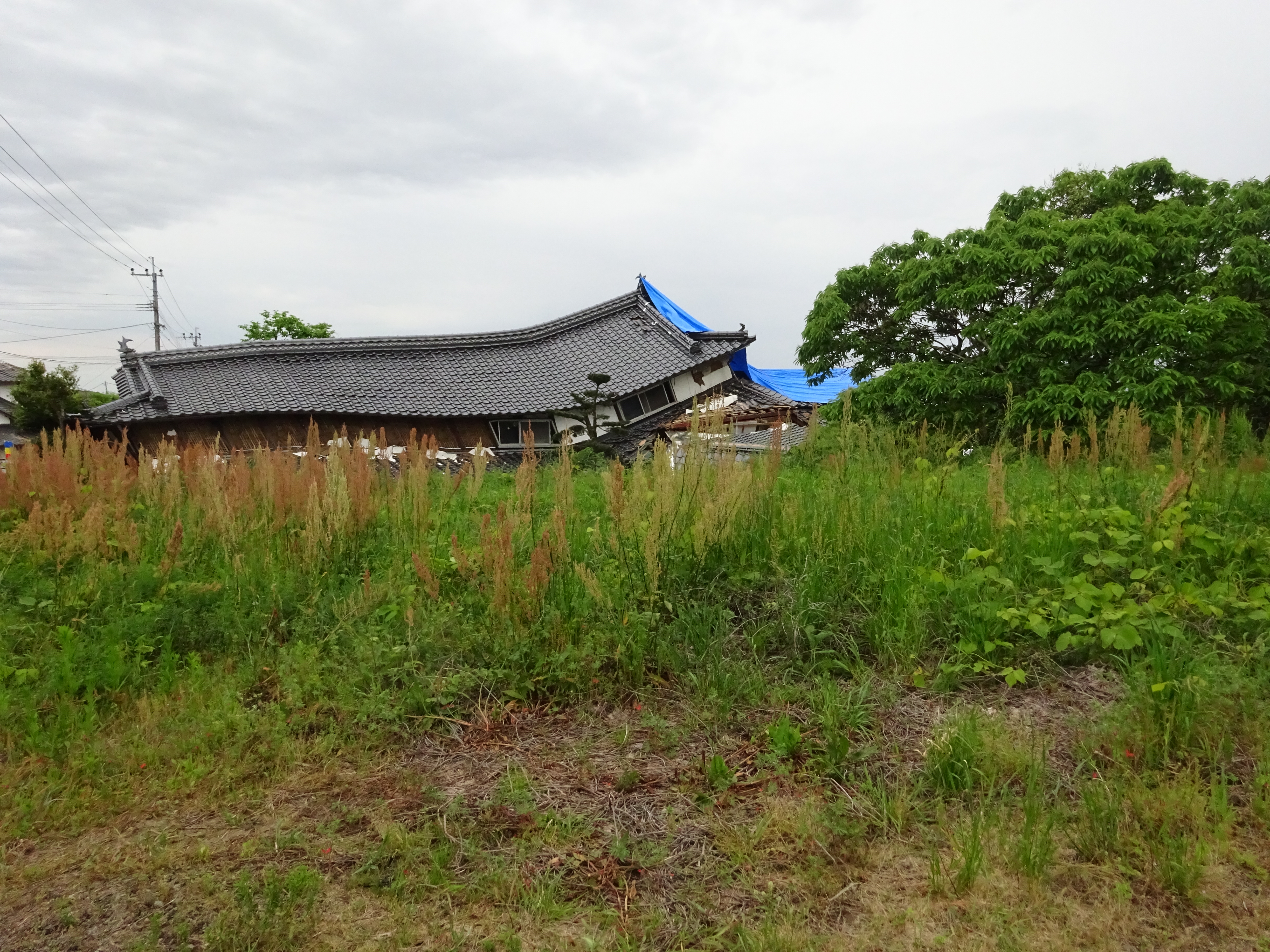 DSC00342.JPG