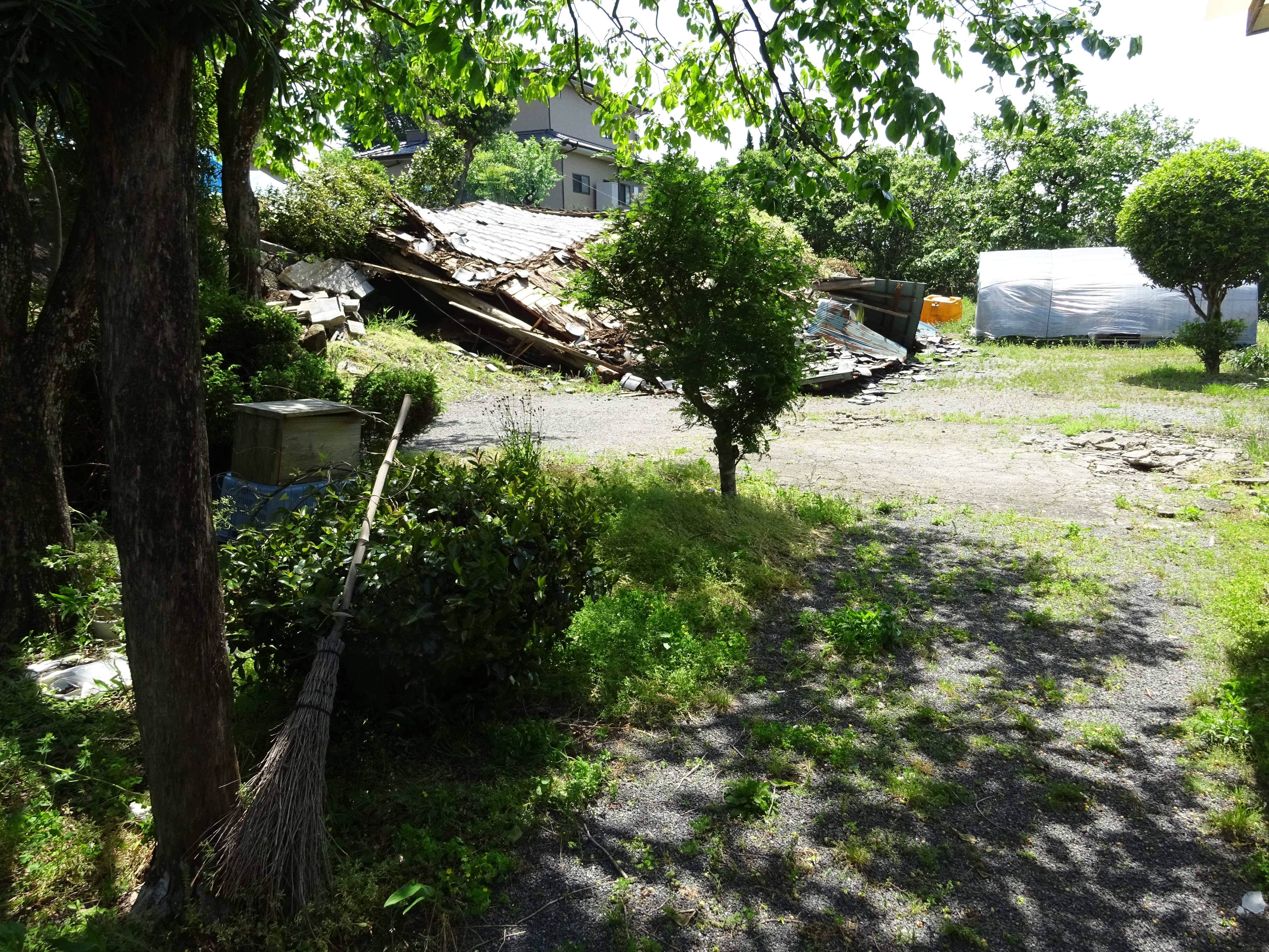 DSC00362.JPG