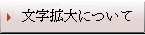 文字拡大について